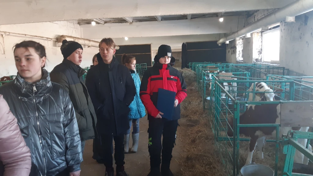 Оценка состояния молочного животноводства на предприятиях 2023 5