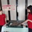27 января День полного освобождения Ленинграда от фашистской блокады.