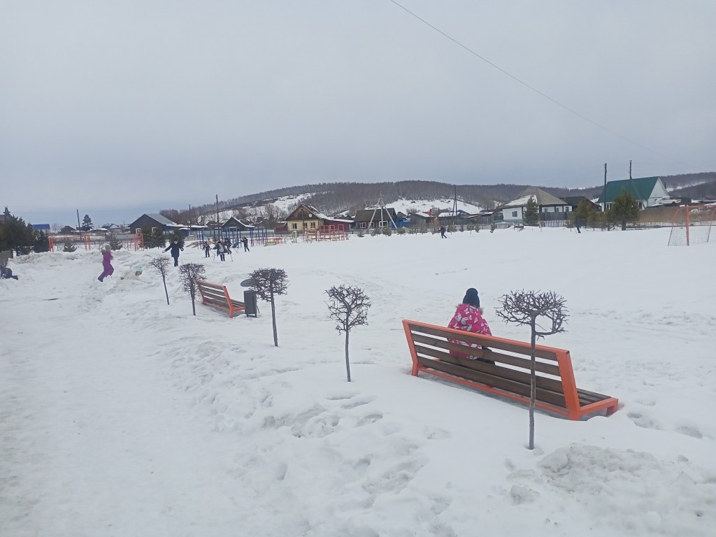 Школьные соревнования по лыжным гонкам. 39
